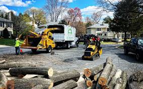 Best Landscape Design and Installation  in Vandergrift, PA